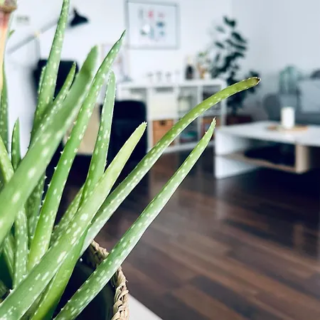 Apartman Bonjour With Terrace And Parking