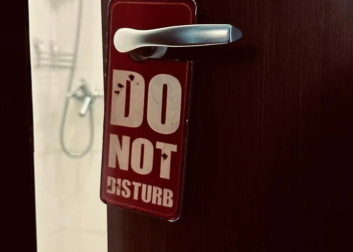 Bonjour With Terrace And Parking *